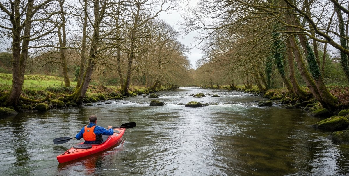 A solo kayaker in a red sit-in kayak and orange buoyancy aid paddling through the Avonmore River in the Vale of Avoca, County Wicklow — overhanging oak and ash trees framing both banks, the river running green-brown with small riffles, the Meeting of the Waters confluence visible as a widening around the bend ahead, soft grey Irish autumn light through the bare branches